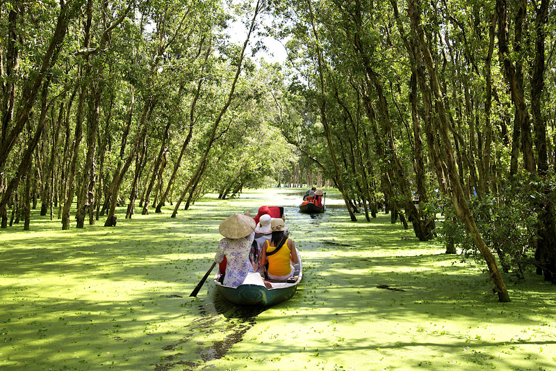 Tra Su Melaleuca Forest in An Giang